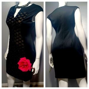 🔥$89 Connected Apparel Bodycon Black Dress Black Lace Overlay Size 10 EUC
